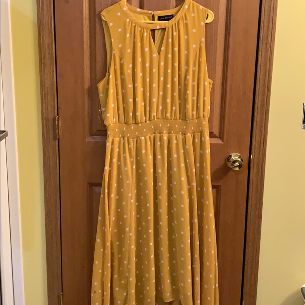 Lane Bryant Size 16 dress